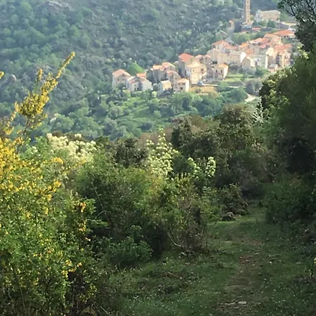 Maison De Village 3 2 Sdb Avec Terrasse & Jardin - Proche St Florent *