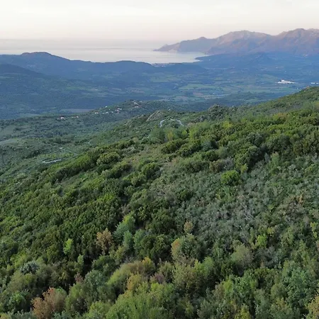 Maison De Village 3 2 Sdb Avec Terrasse & Jardin - Proche St Florent Lejlighed