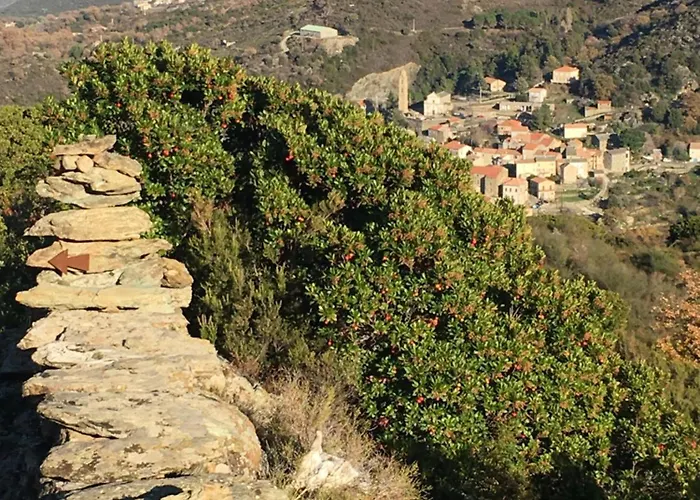 Maison De Village 3 2 Sdb Avec Terrasse & Jardin - Proche St Florent *