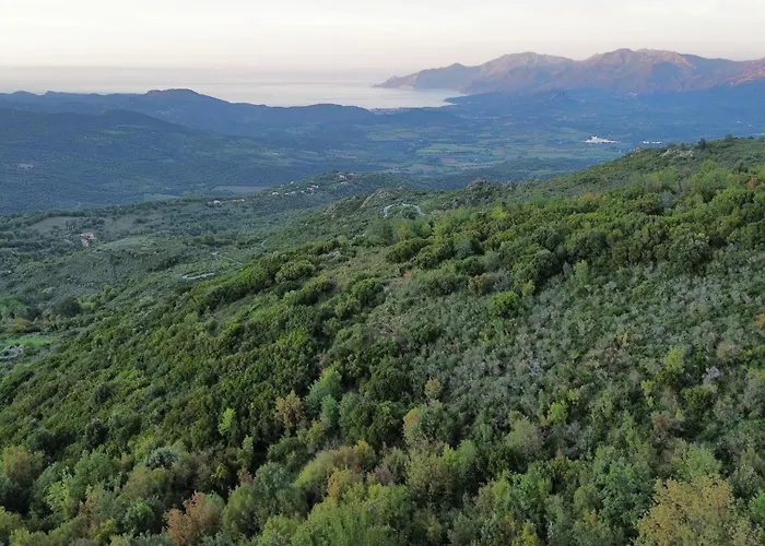 Maison De Village 3 2 Sdb Avec Terrasse & Jardin - Proche St Florent Appartamento