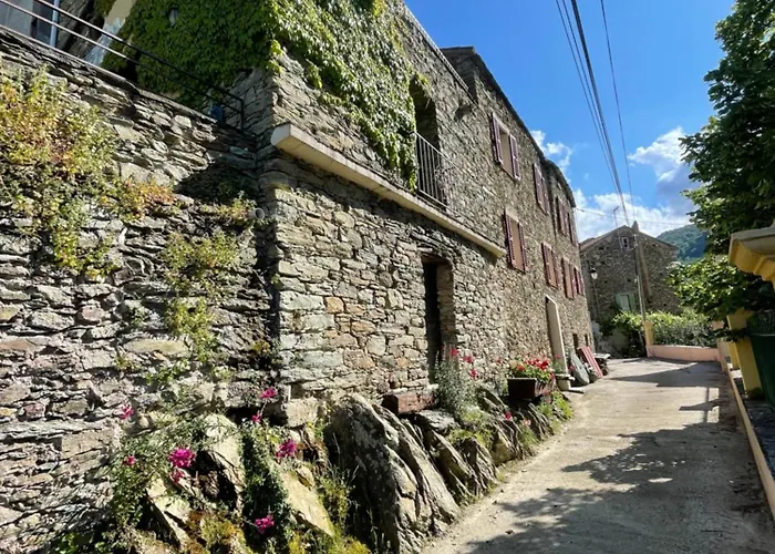 Appartamento Maison De Village 3 2 Sdb Avec Terrasse & Jardin - Proche St Florent