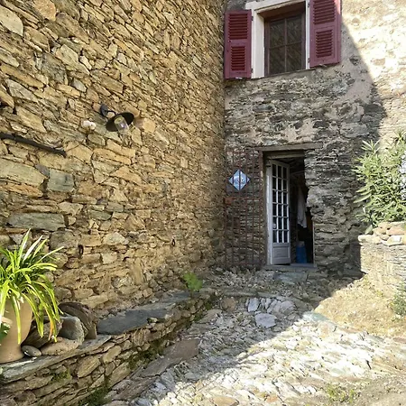Apartment Maison De Village 3 2 Sdb Avec Terrasse & Jardin - Proche St Florent