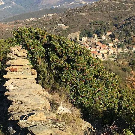 Maison De Village 3 2 Sdb Avec Terrasse & Jardin - Proche St Florent *