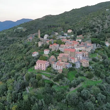 Maison De Village 3 2 Sdb Avec Terrasse & Jardin - Proche St Florent * Pieve