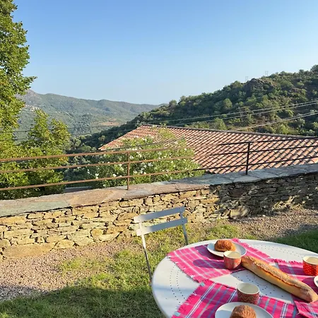 Διαμέρισμα Maison De Village 3 2 Sdb Avec Terrasse & Jardin - Proche St Florent Pieve