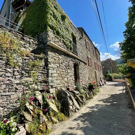 Διαμέρισμα Maison De Village 3 2 Sdb Avec Terrasse & Jardin - Proche St Florent