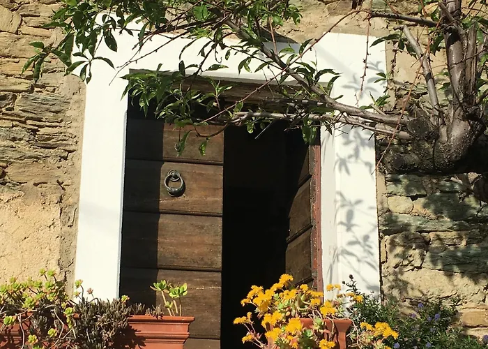 Maison De Village 3 2 Sdb Avec Terrasse & Jardin - Proche St Florent *